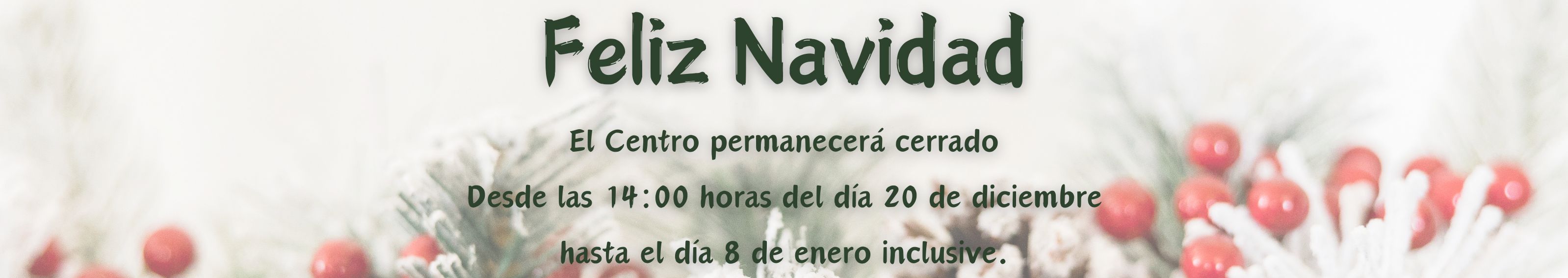 Cierre navidad 2024